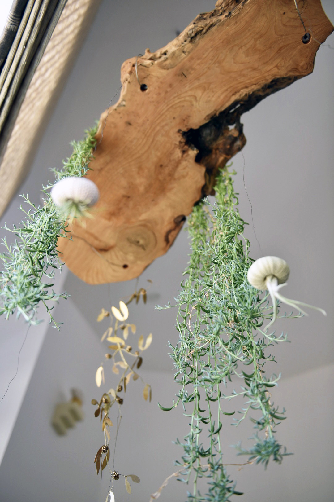 Santa monica hanging driftwood air plants gold leaf mobile detail — Bronwyn Poole Interiors