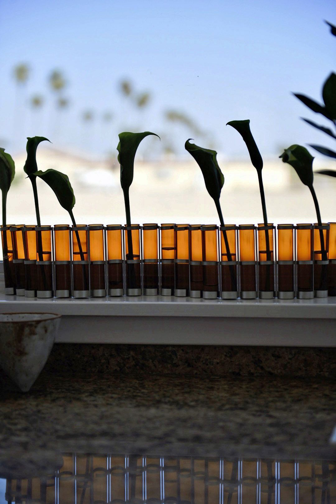 Santa monica penthouse calla lily amber glass vases windowsill ocean view — Bronwyn Poole Interiors